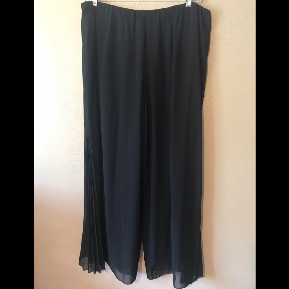 Alex Evening black sheer/lined pants pleated sides